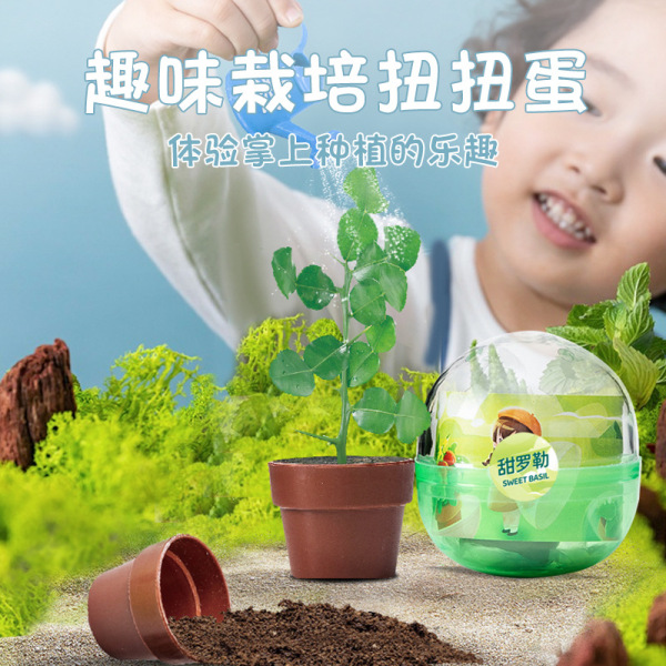 扭蛋种植杯手工小盆栽创意植物盲盒礼品办公桌面礼品 礼品礼品定制中秋礼品展会礼品年会礼品礼品库 杂货集zahuoji Com 扭蛋种植杯手工小盆栽创意植物盲盒礼品办公桌面礼品 礼品礼品定制中秋礼品展会礼品年会礼品礼品库 杂货集zahuoji Com